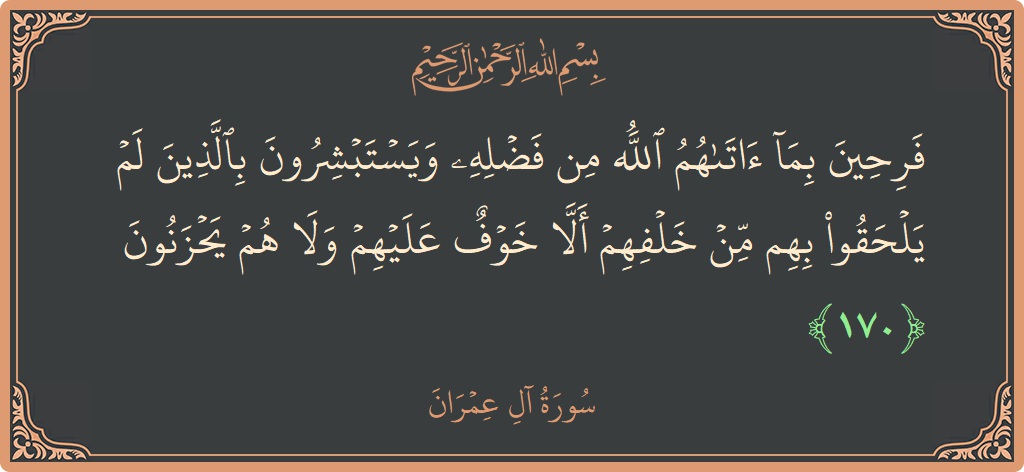 الآية 170 - سورة آل عمران: (فرحين بما آتاهم الله من فضله ويستبشرون بالذين لم يلحقوا بهم من خلفهم ألا خوف عليهم ولا هم يحزنون...)