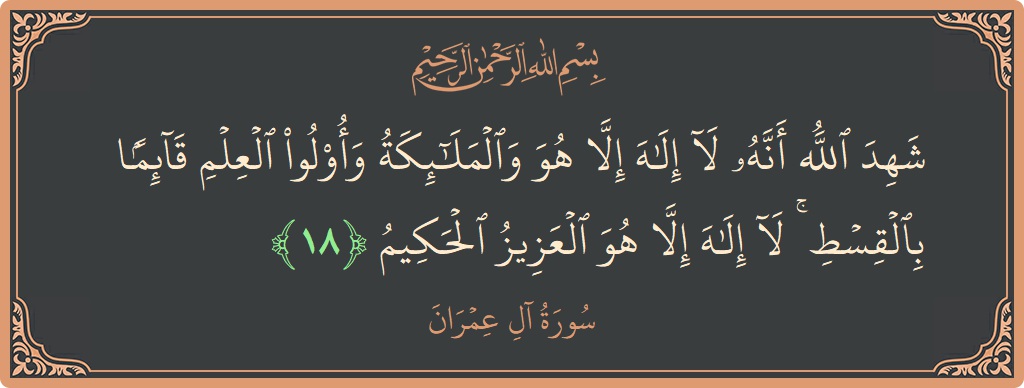 الآية 18 - سورة آل عمران: (شهد الله أنه لا إله إلا هو والملائكة وأولو العلم قائما بالقسط ۚ لا إله إلا هو العزيز الحكيم...)