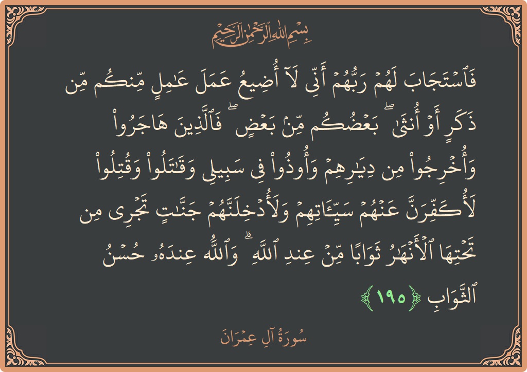 195 - Al-i İmran Suresi ayeti: (فاستجاب لهم ربهم أني لا أضيع عمل عامل منكم من ذكر أو أنثى ۖ بعضكم من بعض ۖ فالذين هاجروا...) - Türkçe