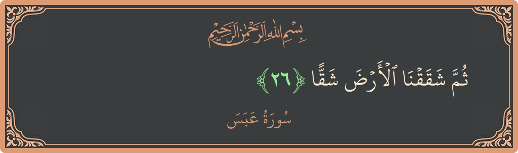 الآية 26 - سورة عبس: (ثم شققنا الأرض شقا...)