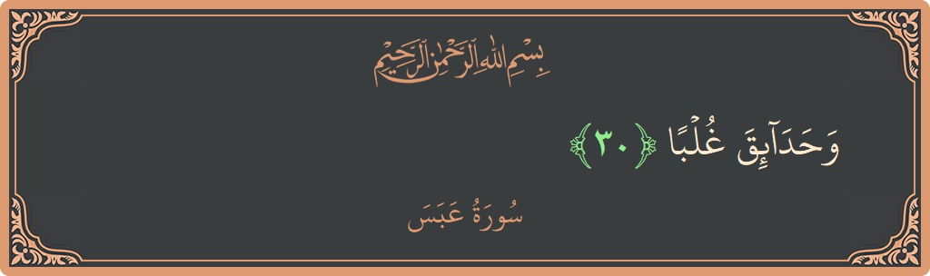 الآية 30 - سورة عبس: (وحدائق غلبا...)
