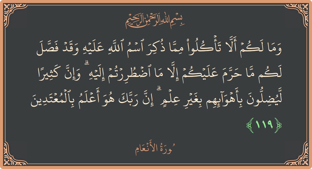 119 - En'am Suresi ayeti: (وما لكم ألا تأكلوا مما ذكر اسم الله عليه وقد فصل لكم ما حرم عليكم إلا ما اضطررتم إليه ۗ...) - Türkçe