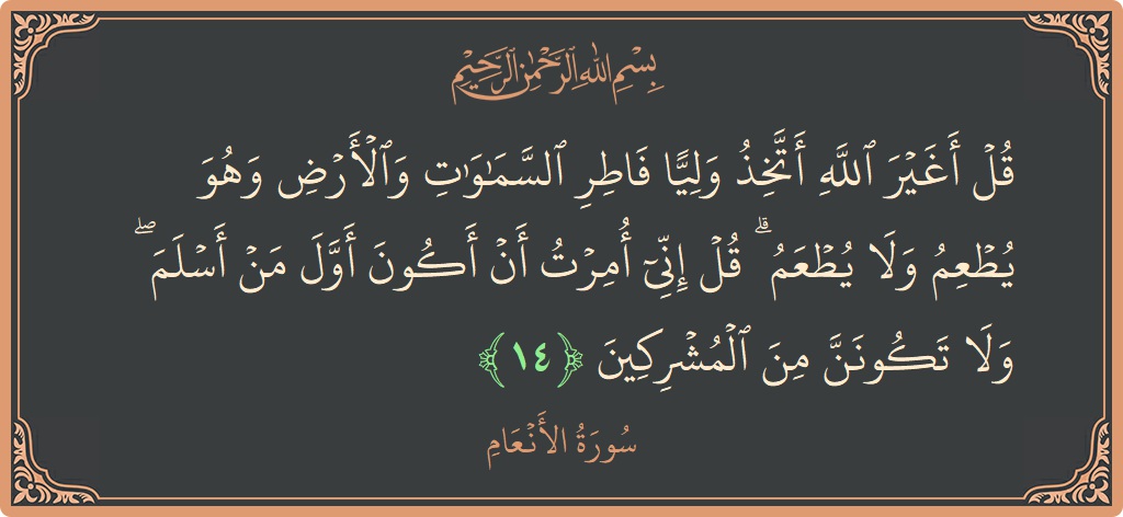 آیت 14 - سورۃ الانعام: (قل أغير الله أتخذ وليا فاطر السماوات والأرض وهو يطعم ولا يطعم ۗ قل إني أمرت أن أكون أول من...) - اردو