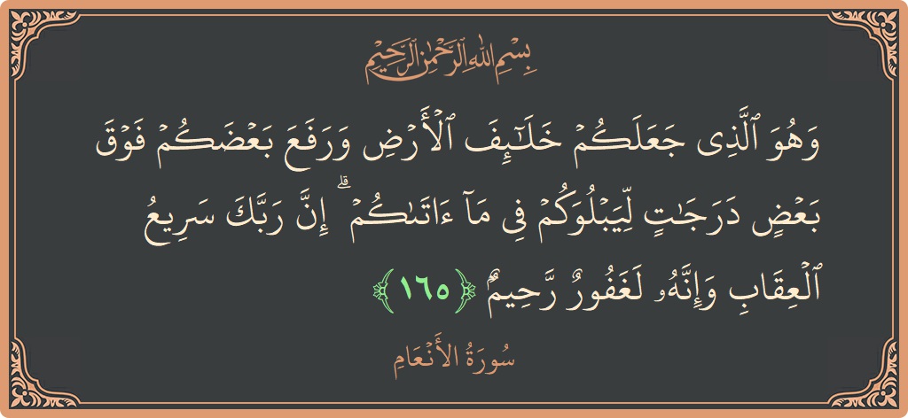 165 - En'am Suresi ayeti: (وهو الذي جعلكم خلائف الأرض ورفع بعضكم فوق بعض درجات ليبلوكم في ما آتاكم ۗ إن ربك سريع العقاب وإنه...) - Türkçe