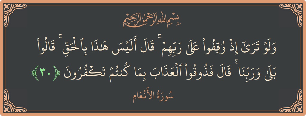 Verse 30 - Surah Al-An'aam: (ولو ترى إذ وقفوا على ربهم ۚ قال أليس هذا بالحق ۚ قالوا بلى وربنا ۚ قال فذوقوا العذاب بما...) - English