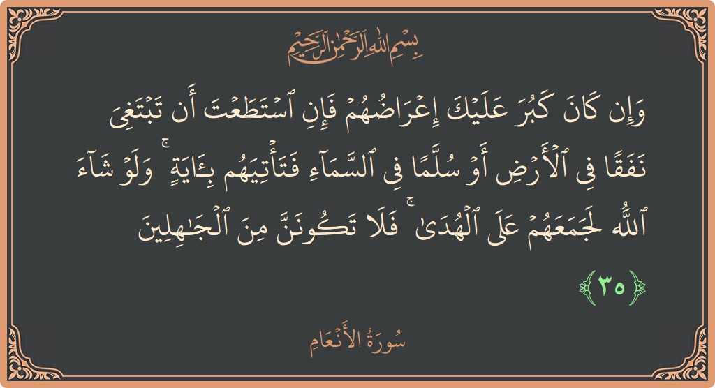 Verse 35 - Surah Al-An'aam: (وإن كان كبر عليك إعراضهم فإن استطعت أن تبتغي نفقا في الأرض أو سلما في السماء فتأتيهم بآية ۚ ولو...) - English