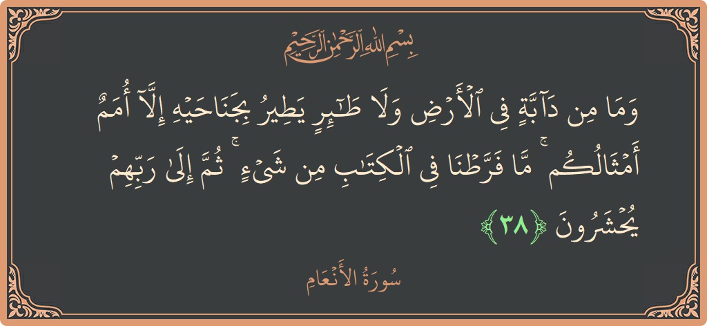 آیت 38 - سورۃ الانعام: (وما من دابة في الأرض ولا طائر يطير بجناحيه إلا أمم أمثالكم ۚ ما فرطنا في الكتاب من شيء ۚ...) - اردو