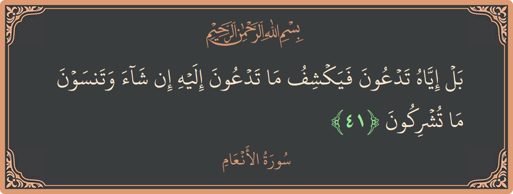 آیت 41 - سورۃ الانعام: (بل إياه تدعون فيكشف ما تدعون إليه إن شاء وتنسون ما تشركون...) - اردو