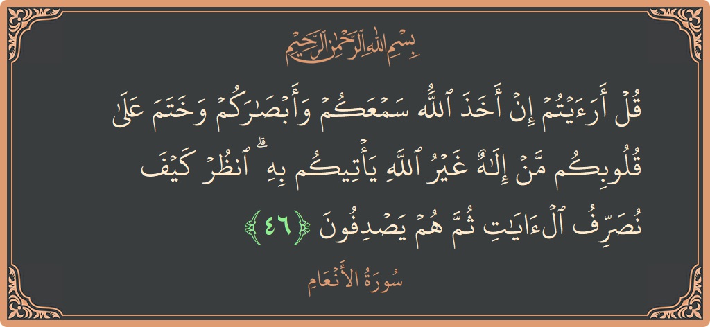 46 - En'am Suresi ayeti: (قل أرأيتم إن أخذ الله سمعكم وأبصاركم وختم على قلوبكم من إله غير الله يأتيكم به ۗ انظر كيف نصرف...) - Türkçe