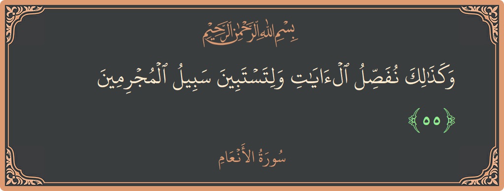 55 - En'am Suresi ayeti: (وكذلك نفصل الآيات ولتستبين سبيل المجرمين...) - Türkçe