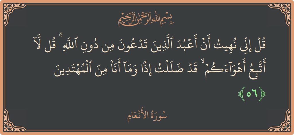 56 - En'am Suresi ayeti: (قل إني نهيت أن أعبد الذين تدعون من دون الله ۚ قل لا أتبع أهواءكم ۙ قد ضللت إذا وما...) - Türkçe