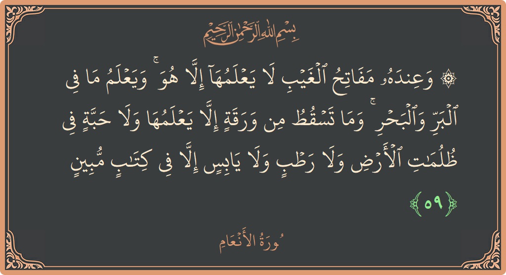 الآية 59 - سورة الأنعام: (۞ وعنده مفاتح الغيب لا يعلمها إلا هو ۚ ويعلم ما في البر والبحر ۚ وما تسقط من ورقة إلا...)