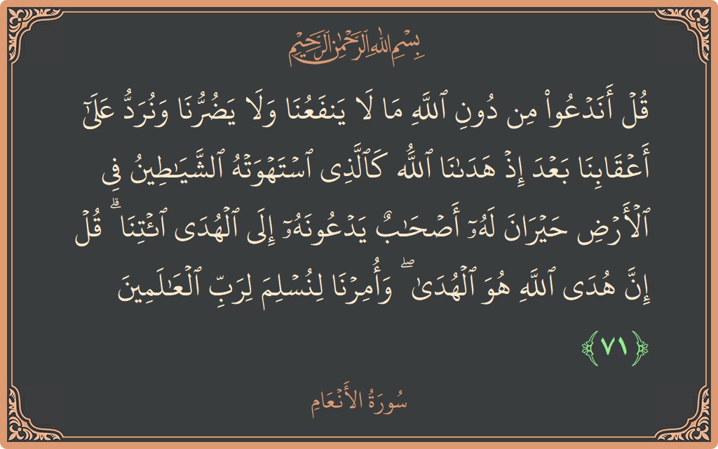 الآية 71 - سورة الأنعام: (قل أندعو من دون الله ما لا ينفعنا ولا يضرنا ونرد على أعقابنا بعد إذ هدانا الله كالذي استهوته الشياطين...)