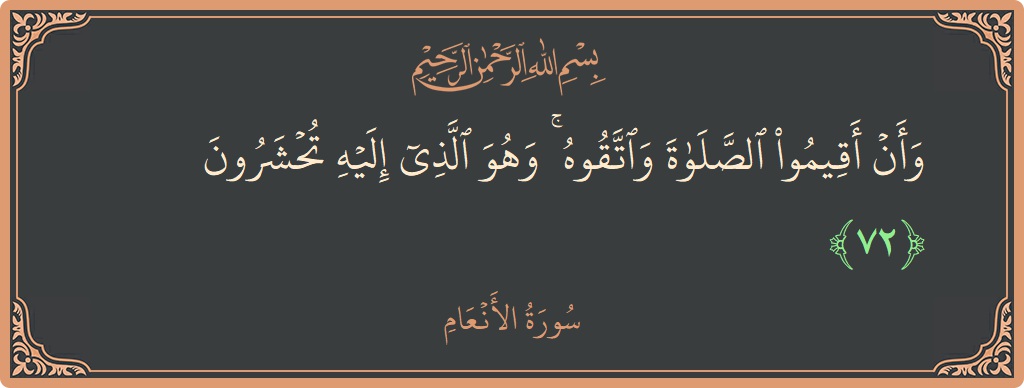 الآية 72 - سورة الأنعام: (وأن أقيموا الصلاة واتقوه ۚ وهو الذي إليه تحشرون...)