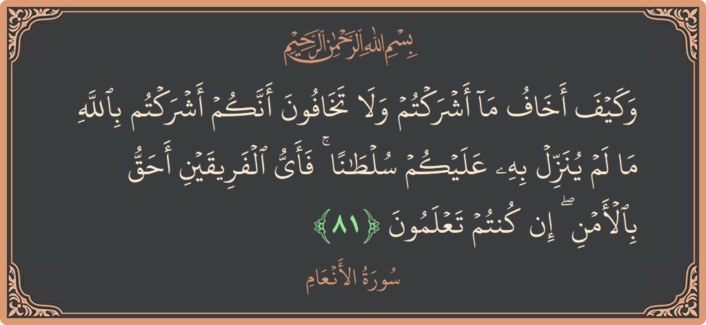81 - En'am Suresi ayeti: (وكيف أخاف ما أشركتم ولا تخافون أنكم أشركتم بالله ما لم ينزل به عليكم سلطانا ۚ فأي الفريقين أحق بالأمن...) - Türkçe