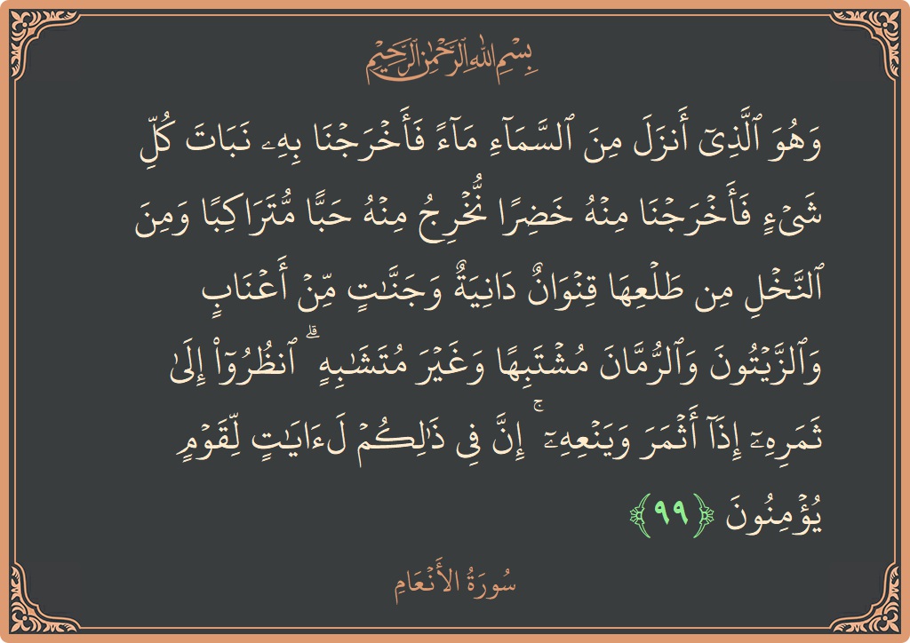 Verse 99 - Surah Al-An'aam: (وهو الذي أنزل من السماء ماء فأخرجنا به نبات كل شيء فأخرجنا منه خضرا نخرج منه حبا متراكبا ومن النخل...) - English