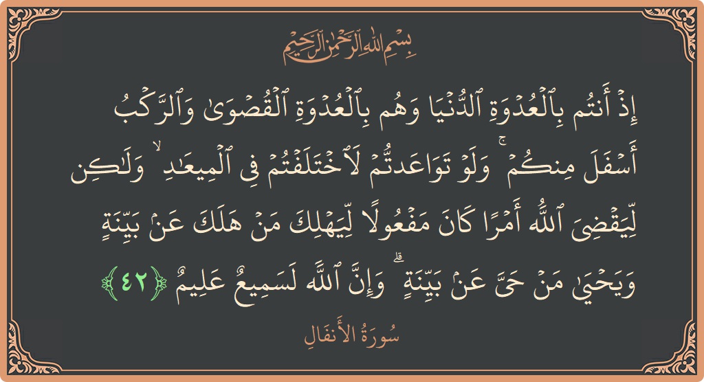 الآية 42 - سورة الأنفال: (إذ أنتم بالعدوة الدنيا وهم بالعدوة القصوى والركب أسفل منكم ۚ ولو تواعدتم لاختلفتم في الميعاد ۙ ولكن ليقضي الله...)