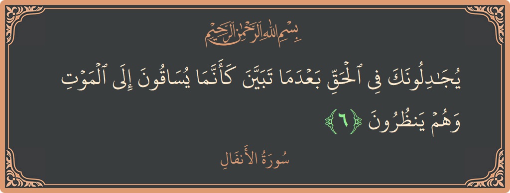 الآية 6 - سورة الأنفال: (يجادلونك في الحق بعدما تبين كأنما يساقون إلى الموت وهم ينظرون...)