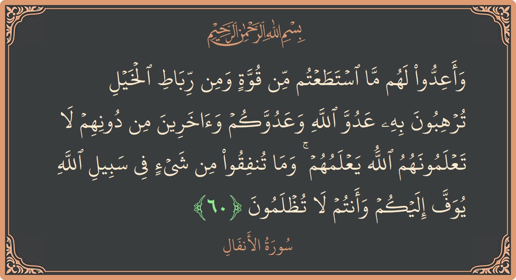 الآية 60 - سورة الأنفال: (وأعدوا لهم ما استطعتم من قوة ومن رباط الخيل ترهبون به عدو الله وعدوكم وآخرين من دونهم لا تعلمونهم الله...)