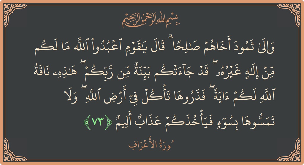 73 - Araf Suresi ayeti: (وإلى ثمود أخاهم صالحا ۗ قال يا قوم اعبدوا الله ما لكم من إله غيره ۖ قد جاءتكم بينة من...) - Türkçe