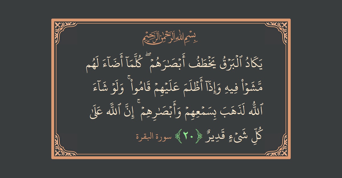 Ayat 20 - Surat Al Baqarah: (يكاد البرق يخطف أبصارهم ۖ كلما أضاء لهم مشوا فيه وإذا أظلم عليهم قاموا ۚ ولو شاء الله لذهب بسمعهم...) - Indonesia