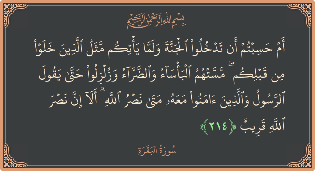 الآية 214 - سورة البقرة: (أم حسبتم أن تدخلوا الجنة ولما يأتكم مثل الذين خلوا من قبلكم ۖ مستهم البأساء والضراء وزلزلوا حتى يقول الرسول...)