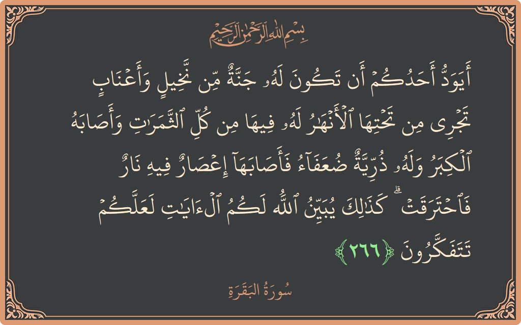 266 - Bakara Suresi ayeti: (أيود أحدكم أن تكون له جنة من نخيل وأعناب تجري من تحتها الأنهار له فيها من كل الثمرات وأصابه الكبر...) - Türkçe