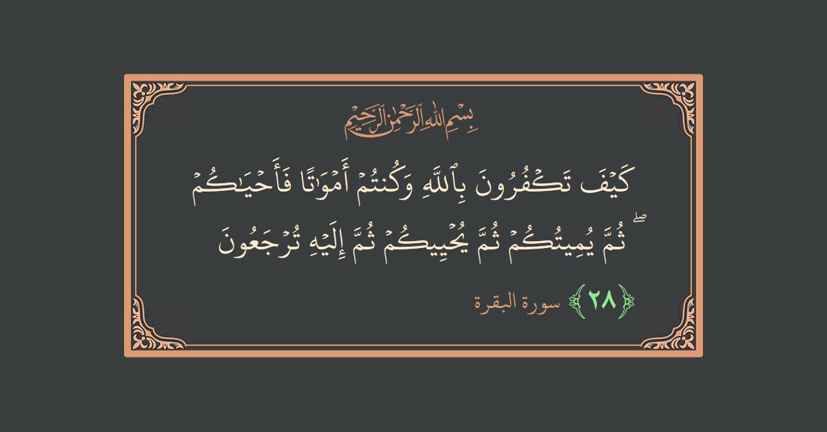 الآية 28 - سورة البقرة: (كيف تكفرون بالله وكنتم أمواتا فأحياكم ۖ ثم يميتكم ثم يحييكم ثم إليه ترجعون...)