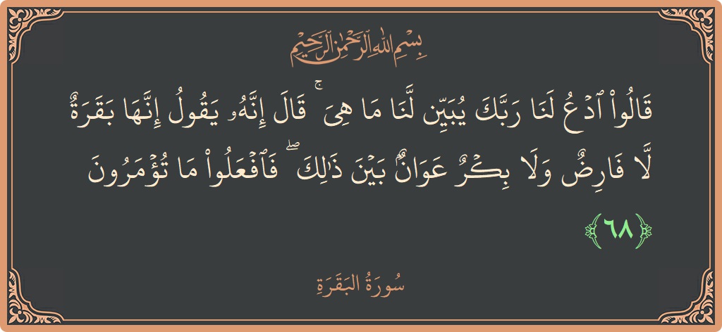 Ayat 68 - Surat Al Baqarah: (قالوا ادع لنا ربك يبين لنا ما هي ۚ قال إنه يقول إنها بقرة لا فارض ولا بكر عوان بين...) - Indonesia