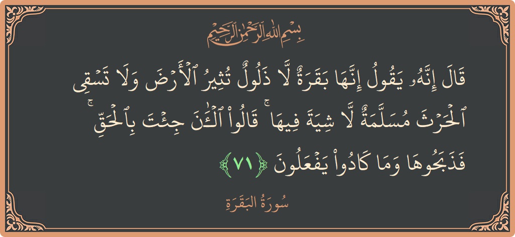 Ayat 71 - Surat Al Baqarah: (قال إنه يقول إنها بقرة لا ذلول تثير الأرض ولا تسقي الحرث مسلمة لا شية فيها ۚ قالوا الآن جئت...) - Indonesia