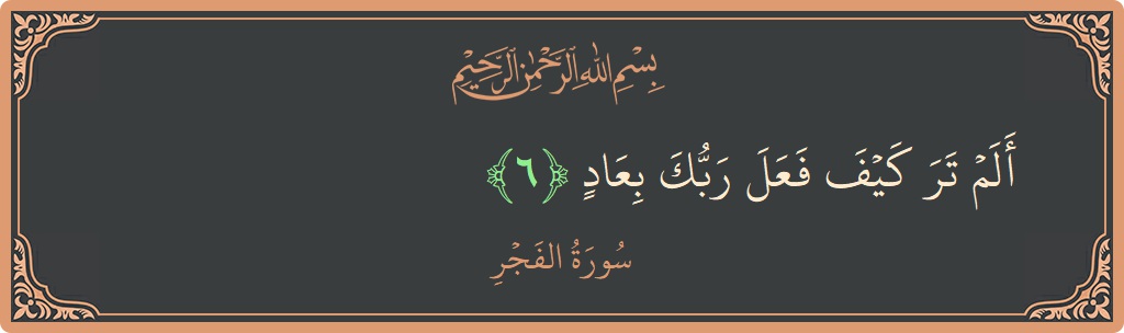 Verse 6 - Surah Al-Fajr: (ألم تر كيف فعل ربك بعاد...)