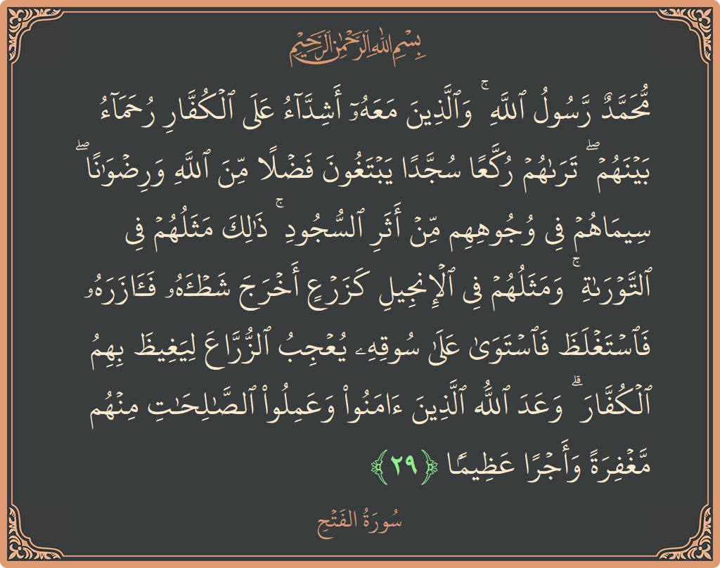 الآية 29 - سورة الفتح: (محمد رسول الله ۚ والذين معه أشداء على الكفار رحماء بينهم ۖ تراهم ركعا سجدا يبتغون فضلا من الله ورضوانا...)