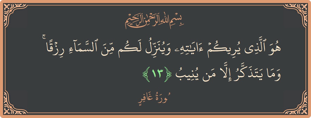 آیت 13 - سورہ غافر: (هو الذي يريكم آياته وينزل لكم من السماء رزقا ۚ وما يتذكر إلا من ينيب...) - اردو