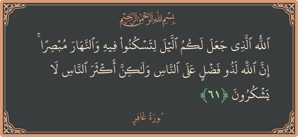 61 - Gafir Suresi ayeti: (الله الذي جعل لكم الليل لتسكنوا فيه والنهار مبصرا ۚ إن الله لذو فضل على الناس ولكن أكثر الناس لا...) - Türkçe