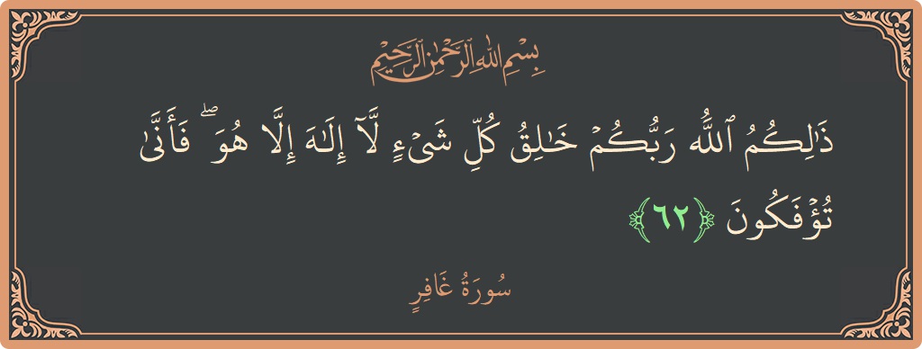 آیت 62 - سورہ غافر: (ذلكم الله ربكم خالق كل شيء لا إله إلا هو ۖ فأنى تؤفكون...) - اردو