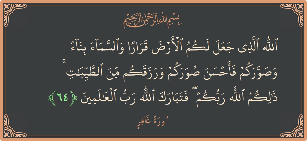 آیت 64 - سورہ غافر: (الله الذي جعل لكم الأرض قرارا والسماء بناء وصوركم فأحسن صوركم ورزقكم من الطيبات ۚ ذلكم الله ربكم ۖ فتبارك...) - اردو