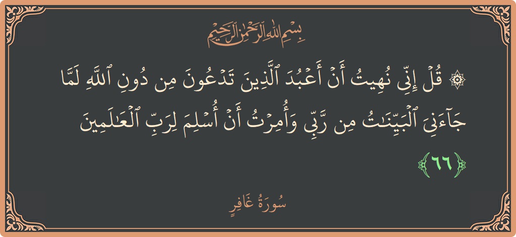 آیت 66 - سورہ غافر: (۞ قل إني نهيت أن أعبد الذين تدعون من دون الله لما جاءني البينات من ربي وأمرت أن أسلم لرب...) - اردو