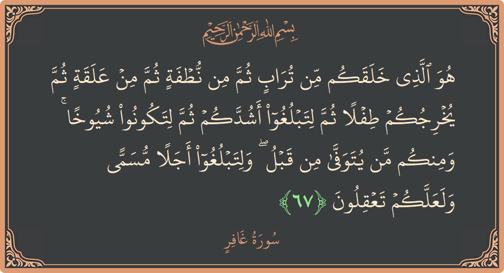 آیت 67 - سورہ غافر: (هو الذي خلقكم من تراب ثم من نطفة ثم من علقة ثم يخرجكم طفلا ثم لتبلغوا أشدكم ثم لتكونوا شيوخا...) - اردو