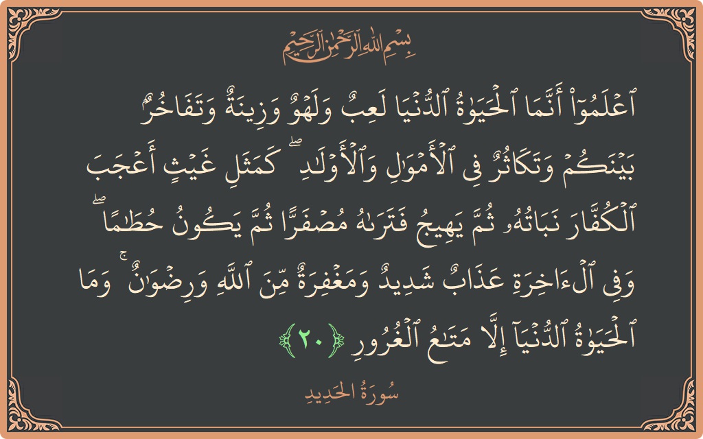 الآية 20 - سورة الحديد: (اعلموا أنما الحياة الدنيا لعب ولهو وزينة وتفاخر بينكم وتكاثر في الأموال والأولاد ۖ كمثل غيث أعجب الكفار نباته ثم...)
