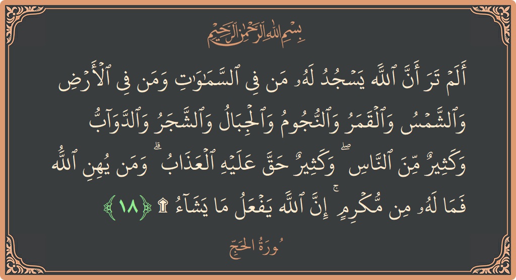 الآية 18 - سورة الحج: (ألم تر أن الله يسجد له من في السماوات ومن في الأرض والشمس والقمر والنجوم والجبال والشجر والدواب وكثير من...)
