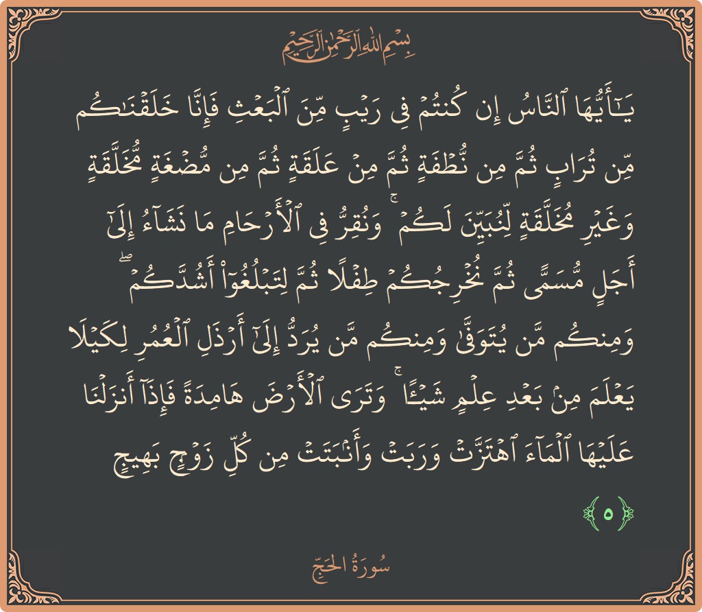 الآية 5 - سورة الحج: (يا أيها الناس إن كنتم في ريب من البعث فإنا خلقناكم من تراب ثم من نطفة ثم من علقة ثم...)