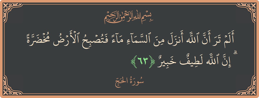 Ayat 63 - Surat Al Haji: (ألم تر أن الله أنزل من السماء ماء فتصبح الأرض مخضرة ۗ إن الله لطيف خبير...) - Indonesia