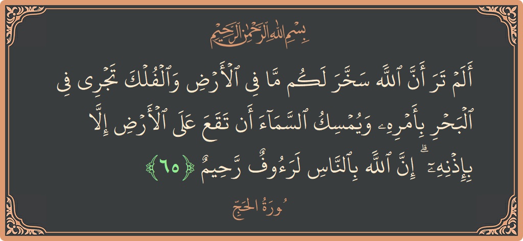 Ayat 65 - Surat Al Haji: (ألم تر أن الله سخر لكم ما في الأرض والفلك تجري في البحر بأمره ويمسك السماء أن تقع على الأرض...) - Indonesia
