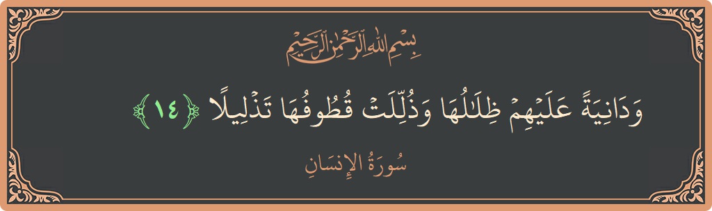 الآية 14 - سورة الانسان: (ودانية عليهم ظلالها وذللت قطوفها تذليلا...)