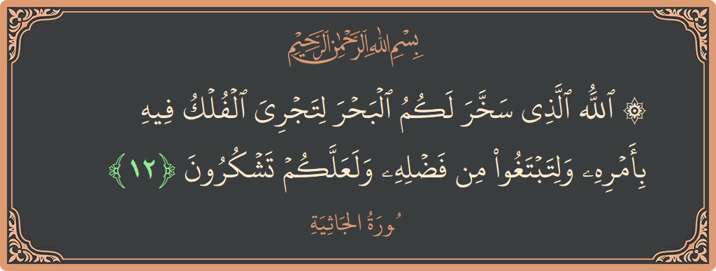 الآية 12 - سورة الجاثية: (۞ الله الذي سخر لكم البحر لتجري الفلك فيه بأمره ولتبتغوا من فضله ولعلكم تشكرون...)