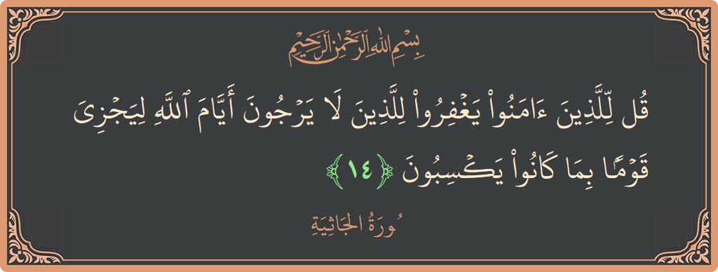 الآية 14 - سورة الجاثية: (قل للذين آمنوا يغفروا للذين لا يرجون أيام الله ليجزي قوما بما كانوا يكسبون...)