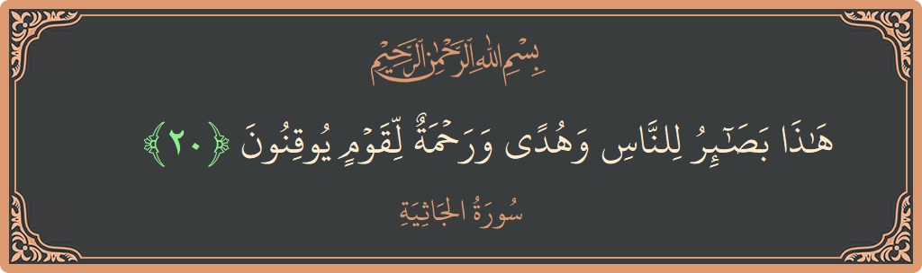 الآية 20 - سورة الجاثية: (هذا بصائر للناس وهدى ورحمة لقوم يوقنون...)