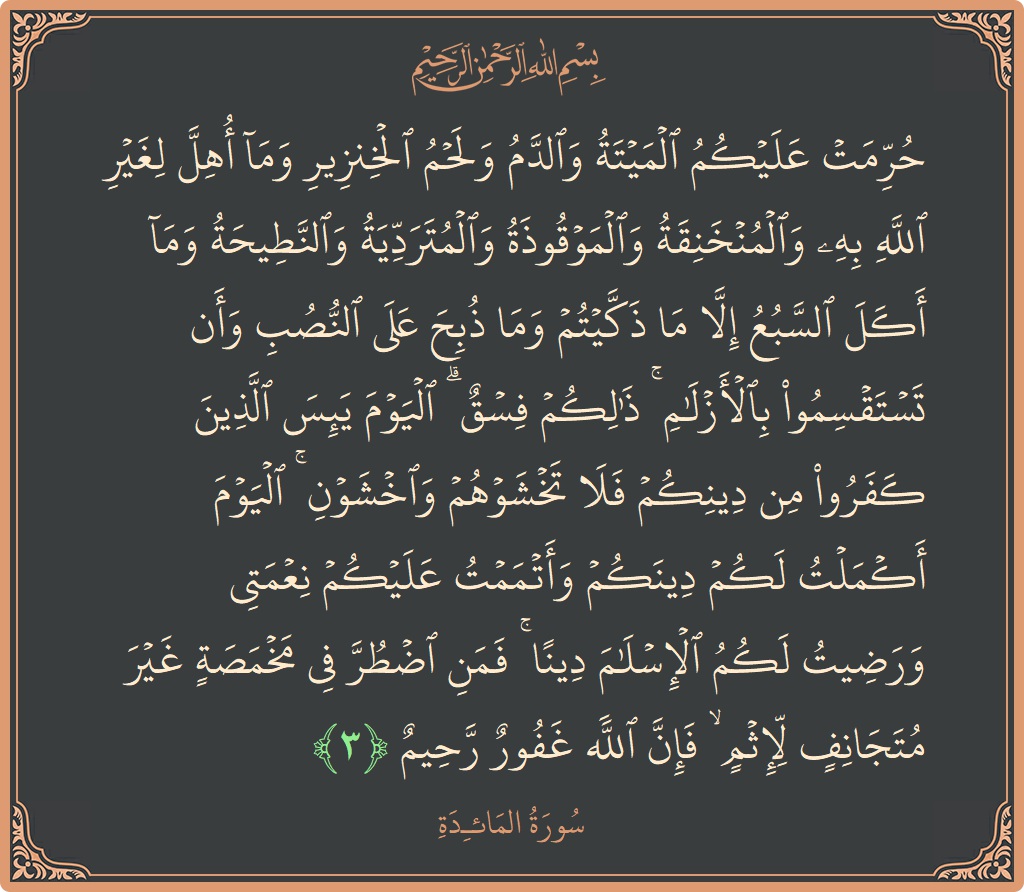 3 - Maide Suresi ayeti: (حرمت عليكم الميتة والدم ولحم الخنزير وما أهل لغير الله به والمنخنقة والموقوذة والمتردية والنطيحة وما أكل السبع إلا ما...) - Türkçe