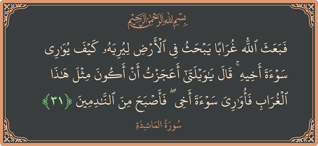 Ayat 31 - Surat Al Maidah: (فبعث الله غرابا يبحث في الأرض ليريه كيف يواري سوءة أخيه ۚ قال يا ويلتا أعجزت أن أكون مثل هذا...) - Indonesia