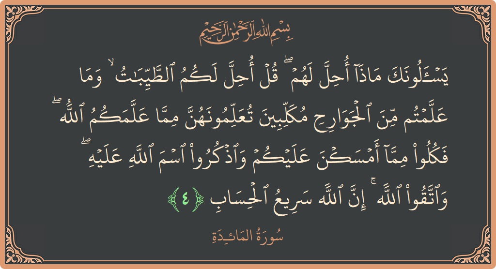 4 - Maide Suresi ayeti: (يسألونك ماذا أحل لهم ۖ قل أحل لكم الطيبات ۙ وما علمتم من الجوارح مكلبين تعلمونهن مما علمكم الله ۖ...) - Türkçe